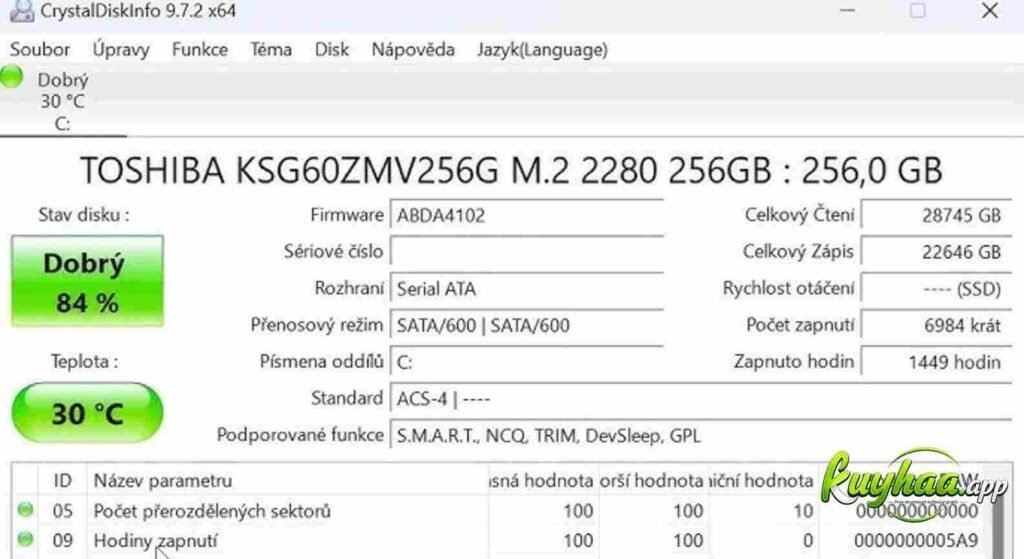CrystalDiskInfo Full Version Download