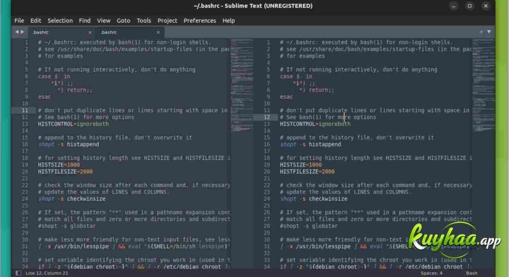Sublime Text 4 Full Download